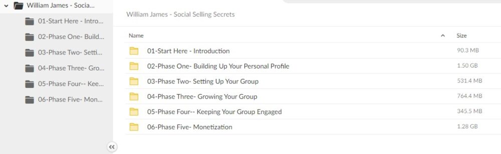 William James - Social Selling Secrets