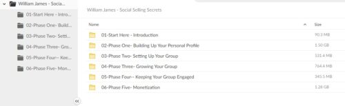 William James - Social Selling Secrets