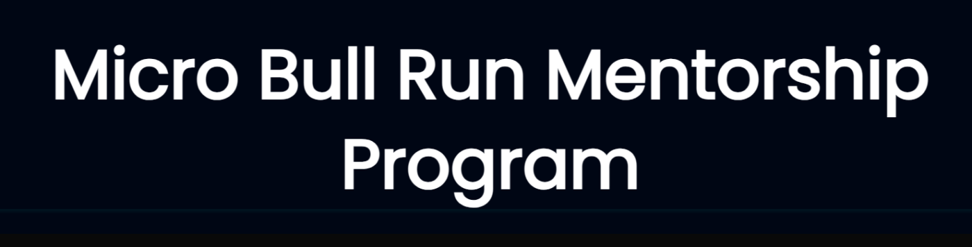 Brendan Viehman – Micro Bull Run Mentorship Program (Autumn 2023)