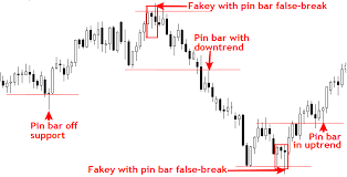 Nial-Fuller-Price-Action-Forex-Trading-Course